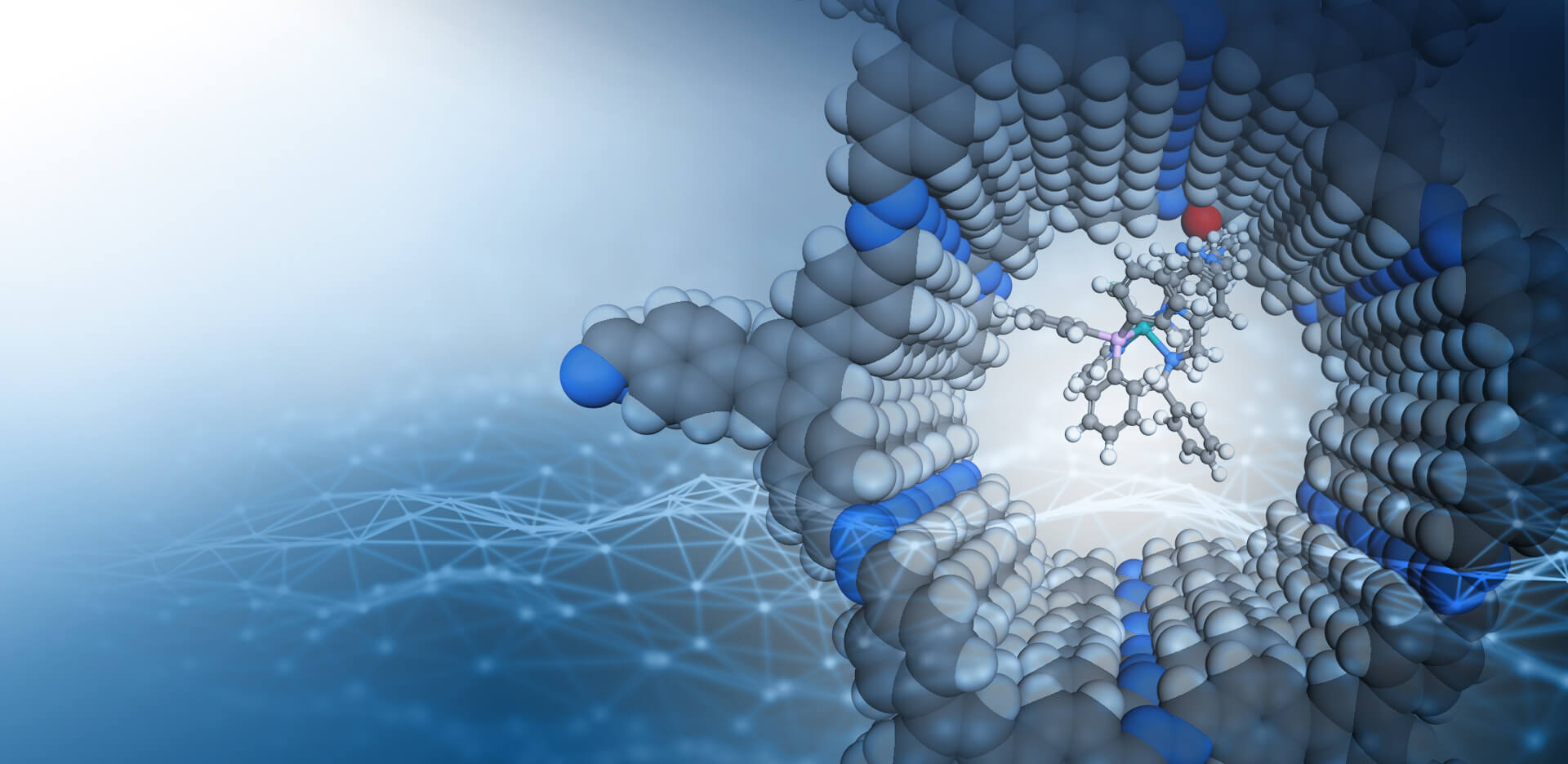 CRC Network Catalysis