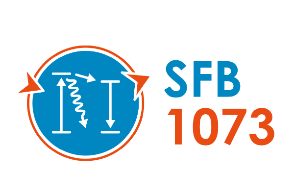 Logo CRC 1073